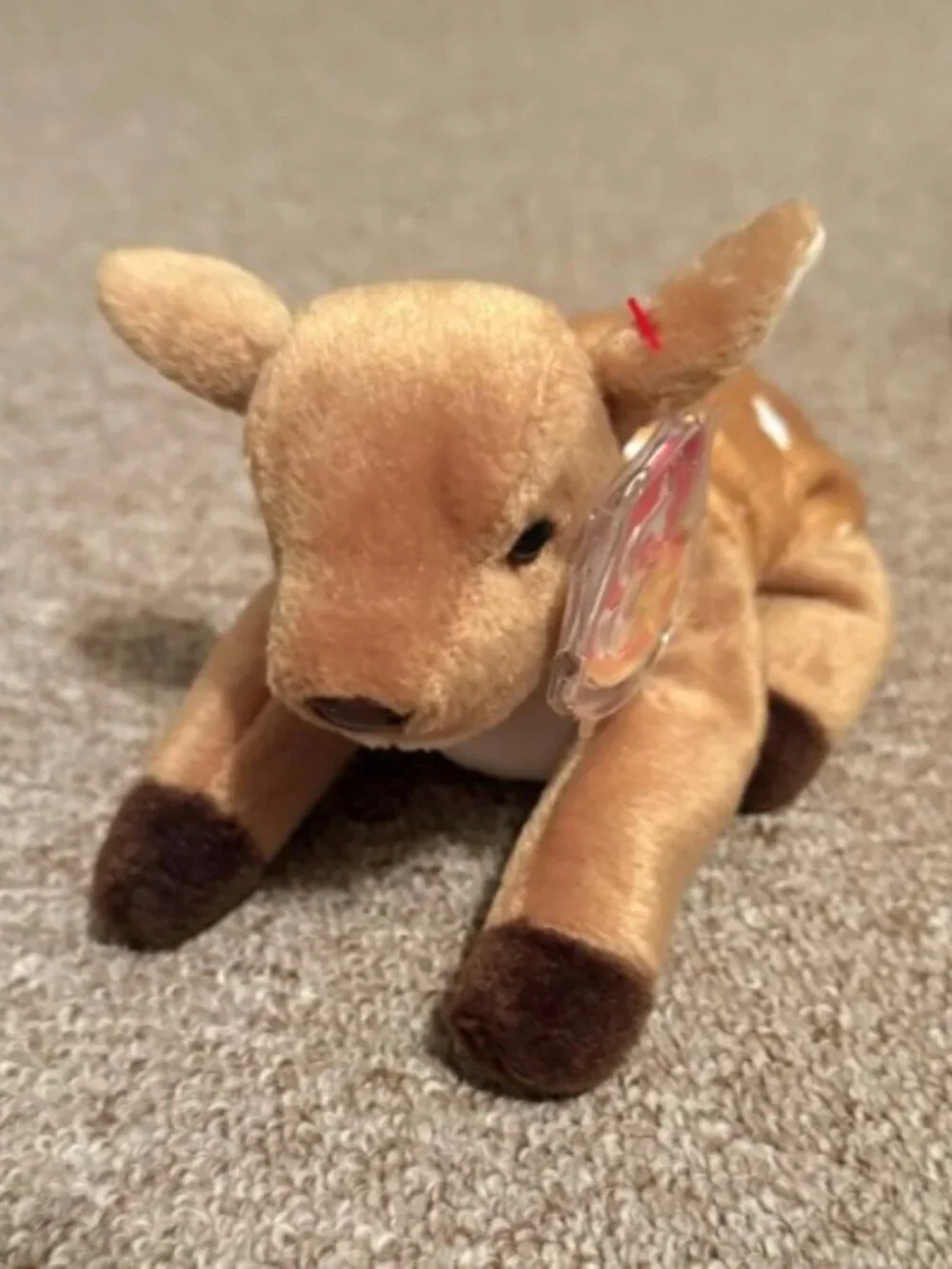 Beanie Baby - Whisper with Errors